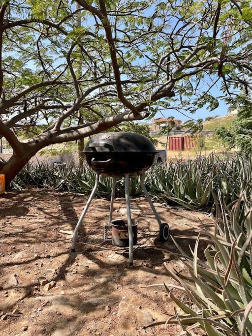 Casa Aloe Vera - Private House W/ Free Breakfast Cidade Velha Eksteriør billede